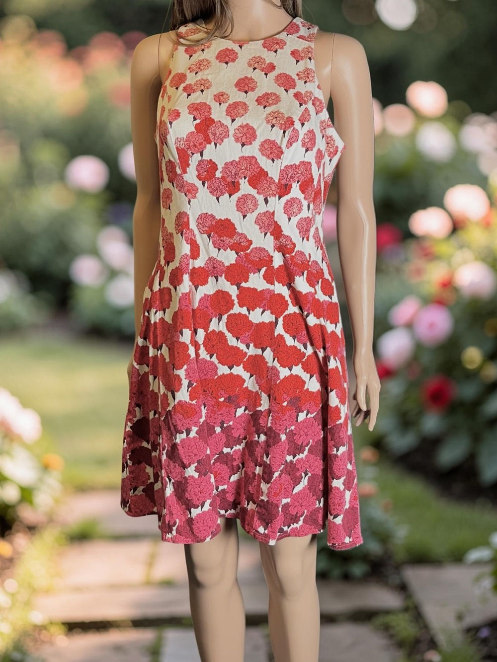 New York & Company Floral Fit & Flare Dress Size 6 Pockets Red Pink White